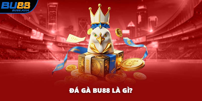 Đá gà BU88 là gì?