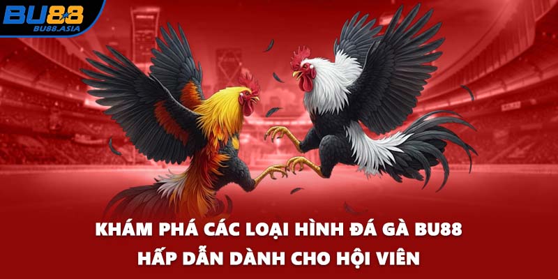 Khám phá các loại hình đá gà BU88 hấp dẫn dành cho hội viên