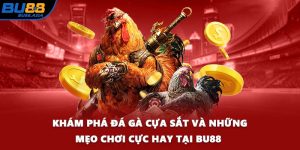 Khám Phá Đá Gà cựa sắt Và Những Mẹo Chơi Cực Hay Tại BU88 