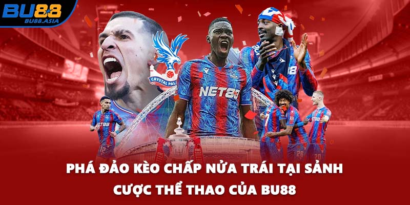 Phá Đảo Kèo Chấp Nửa Trái Tại Sảnh Cược Thể Thao Của BU88