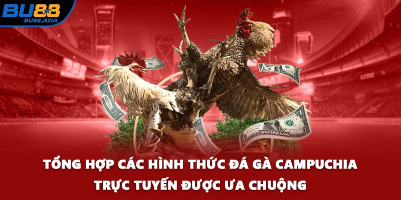 Tổng hợp các hình thức đá gà Campuchia trực tuyến được ưa chuộng